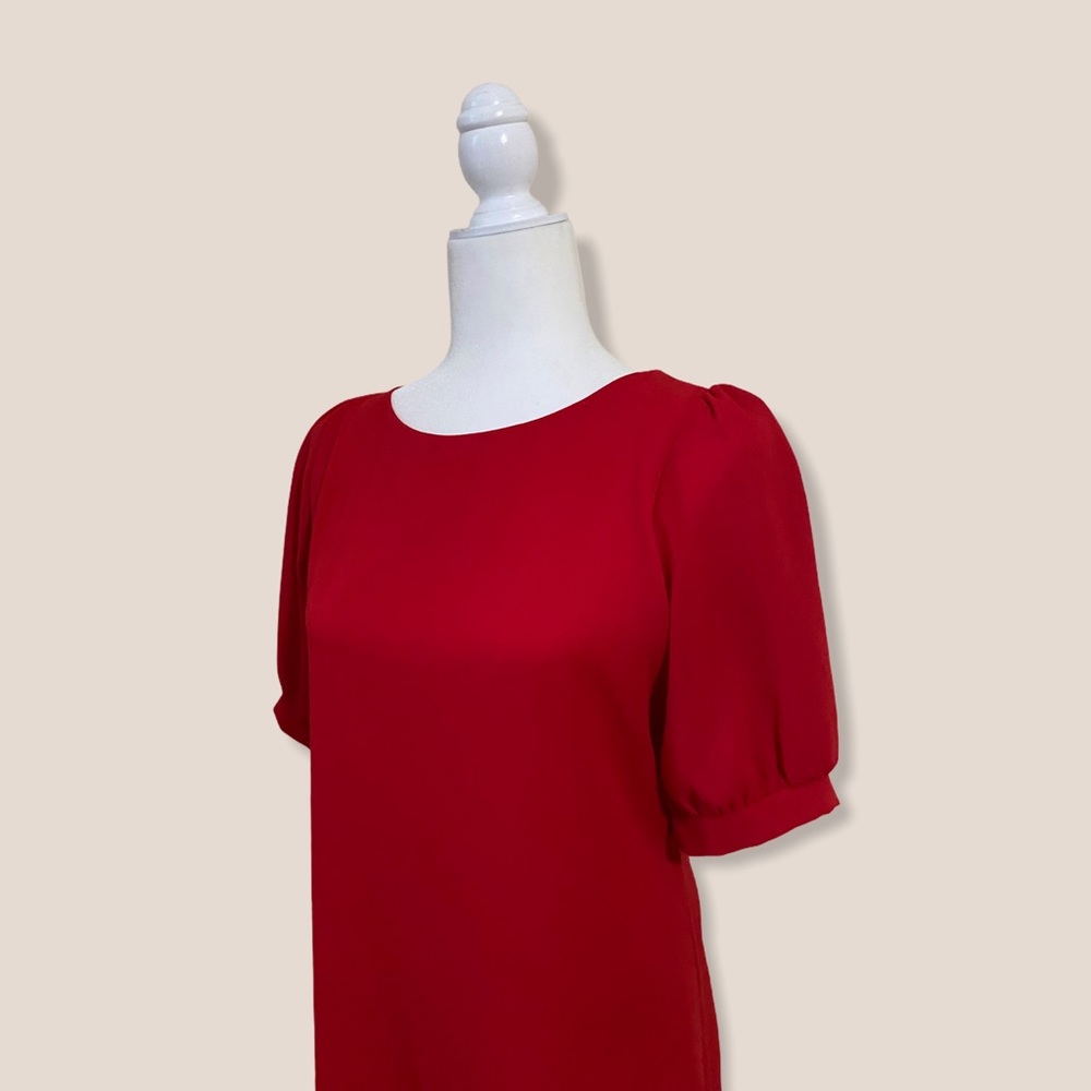 Red Dress - Picture 3 of 3